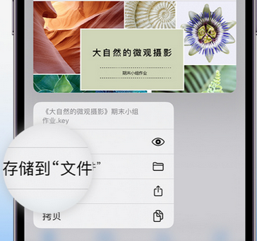 大关apple维修中心分享iPhone文件应用中存储和找到下载文件