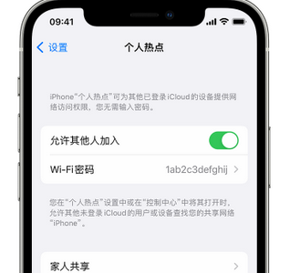 大关apple服务站点分享iPhone上个人热点丢失了怎么办 