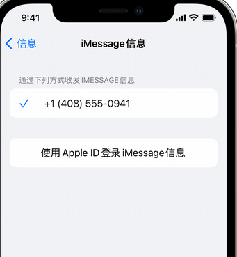 大关apple维修iPhone上无法正常发送iMessage信息 