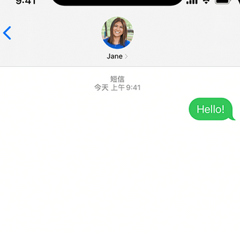 大关apple维修iPhone上无法正常发送iMessage信息