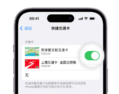 大关apple维修点分享iPhone上更换Apple Pay快捷交通卡手绘卡面 