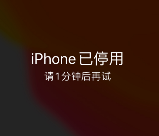 大关苹果手机维修分享:iPhone 显示“不可用”或“已停用”怎么办？还能保留数据吗？ 