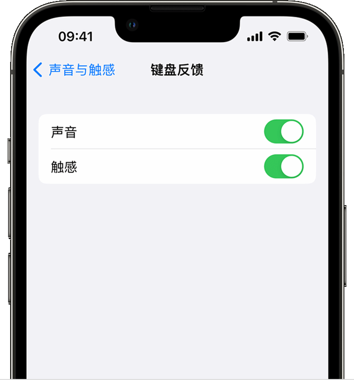 大关苹果14维修店分享如何在 iPhone 14 机型中使用触感键盘 