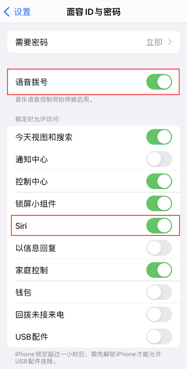 大关苹果维修网点分享不解锁 iPhone 的情况下通过 Siri 拨打电话的方法 