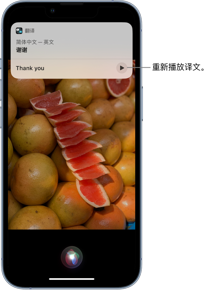 大关苹果14维修分享 iPhone 14 机型中使用 Siri：了解 Siri 能帮你做什么 