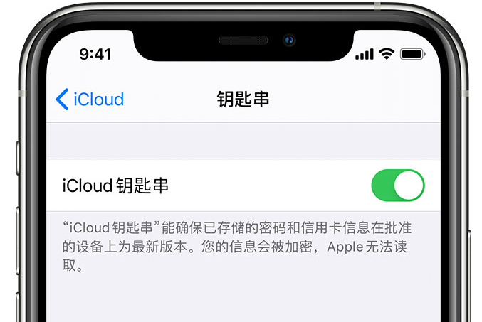 大关苹果手机维修分享在 iPhone 上开启 iCloud 钥匙串之后会储存哪些信息 