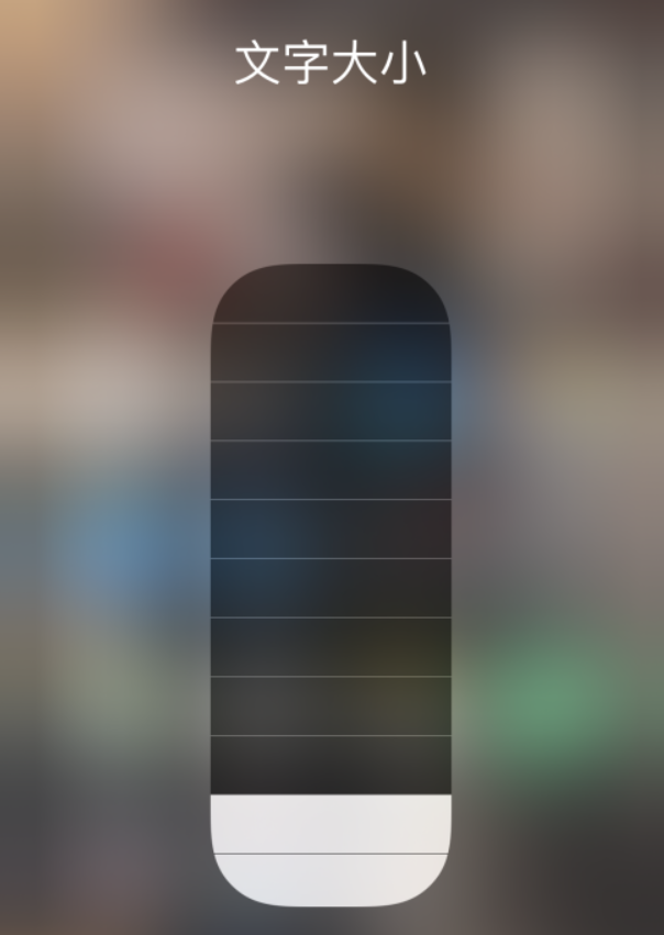 大关苹果手机维修分享小技巧：在 iPhone 控制中心快速调节字体大小 