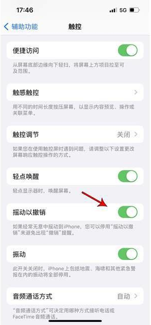 大关苹果手机维修分享iPhone手机如何设置摇一摇删除文字 